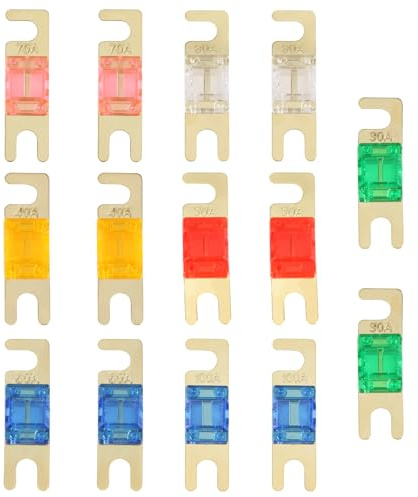 Duluok 14PCS Midi Fuse Set 30-100Amp 32V, Mega Bolt-on Fuse for Marine | Mega Fuse Automobile Fuse for Power System Electric Hybrid Vehicle Automobiles DC Motor Car Audio Trucks