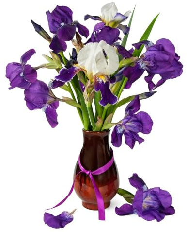 4 piezas bulbos de iris - jardín rocas resistentes bulbos primavera balcón silvestres