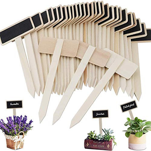 Étiquettes Potager Etiquettes à Planter Mini Tableau En Bois Étiquettes Pour Plantes Pancarte En Bois Pour L'Étiquetage Des Plantes Tableau Noir Pour Étiquette De Jardin T-Type (Lot de 30)