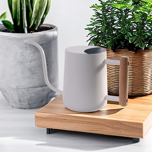IMEEA 1L Gießkanne Zimmerpflanzen Gießkanne Klein Indoor Gießkanne Edelstahl Moderner Deko Giesskanne mit Langem Auslauf für Pflanze Blumen Bonsai Outdoor Garten (Weiß)