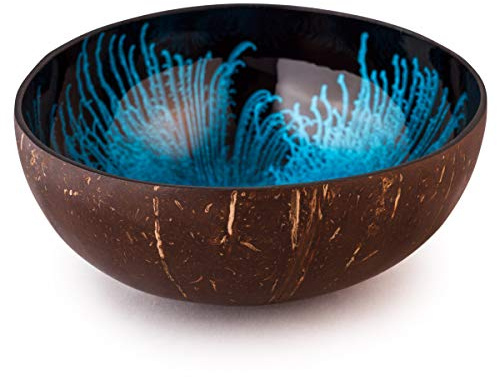 Kaloogo Cocobowl Splash - Ciotola Decorativa al Cocco, Blu, Lucido