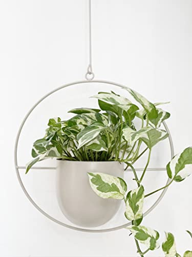 RISEON Boho vit växthängare i metall, metallvägg och takhängande planterare, modern planterare, 50-tals blomkrukhållare, minimalistisk planterare för inomhus utomhus heminredning ..