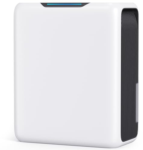 GOAMGE Deumidificatore 3L, Deumidificatore Casa per 20㎡, Doppia Tecnologia Peltier, 30dB Ultra Silenzioso casa Muffa, Sbrinamento Intelligente, Timer 24 Ore