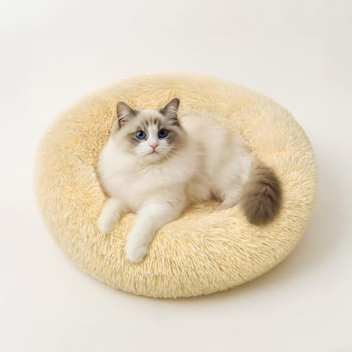 MDDK DY Cama Perro Pequeño 50 cm, Cama Gato Redonda y Suave de Felpa, Cojín Antideslizante Lavable, Ideal para Mascotas Pequeñas, Color Beige Claro