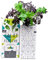 Dresden Onlineshop Bottlecrop Salat aus der Flasche | Anzuchtsystem Urban Farming Set für zu Hause (Bunter Senf-Mix, Starterset)