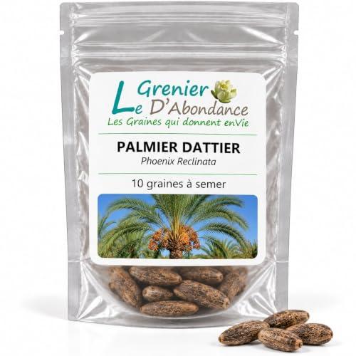 10 graines à semer - Le Grenier d'Abondance - PALMIER DATTIER - Phoenix Reclinata