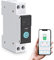 Smart WiFi Switch Home Circuit Breakers Mobile Phone Remote Control 3 Timing Modes for Household Appliances(63A)