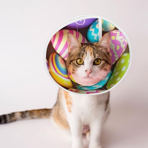 Qewfoju Colorful Easter Eggs Print Cat Cone Collar Cats Neck After Surgery to Stop Licking and Scratch Cone Lightweight Pet Head Cones for Cats