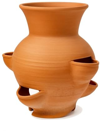 Generico Fragoliera in Terracotta H60 cm – Vaso Artigianale per Coltivazione di Fragole, Erbe Aromatiche e Piante – Fatta a Mano in Italia – Ideale per Giardini e Balconi