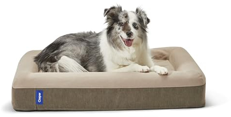 Casper Dog Bed, Plush Memory Foam, Medium, Sand