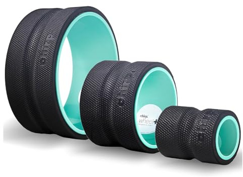 Chirp Wheel Foam Roller - gezielte Rücken massageroller zur Linderung von Nacken - massage roller - Trainings- und Physiotherapiegerät mit hoher Dichte – 3er-Pack (4, 6, 10)