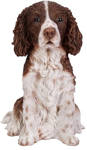 Vivid Arts - Springer Spaniel - XRL-SPSP-D