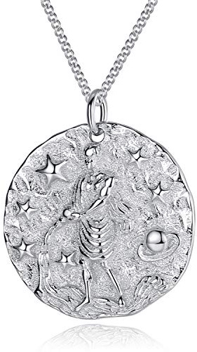 VIKI LYNN Collier Pendentif Argent de 12 Signes du Zodiaque Astrologique Verseau en Argent Fin 925 Idée Cadeau Bijoux Fantaisie Série Douze Constellations pour Homme Femme Garçon Fille