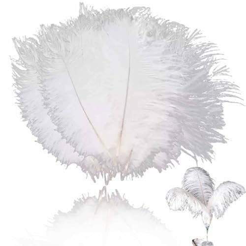 30 Stück Straußenfedern Straußenfedern Natürliche Feder Plume Straußenfedern Straussenfedern Straußenfedern Diy Dekoration Straußenfedern für Hochzeit Mittelstücke Home Decoration (Weiß, 15-20cm)