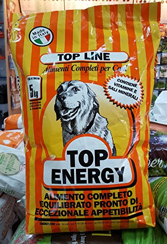 ENERGY.COM