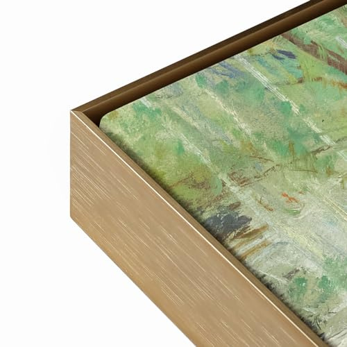 FOLKOR Canvas Floater Frame for 20x24 Oil Paintings, DIY Metal Canvas Floating Frame with 0.8Inch Deep for Classic Vintage Art Prints Artwork Landscape Portrait Living Room Wall Decor (Bronze)
