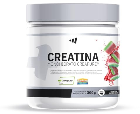 MASmusculo - Creatina Monohidrata Creapure® - en Polvo - Sin Azúcar - 300 g - Bote 3 Meses - Recuperador Muscular - Aumenta Masa Muscular - Sabor Chuches de Sandía