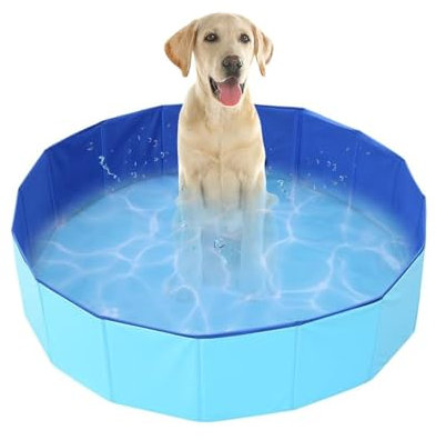 Piscina per cani, vasca da bagno pieghevole in PVC con uscita di drenaggio per animali domestici, stazione di lavaggio portatile per giardino e bagno