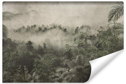 Muralo - Fototapete 3d Effekt - Selbstklebende Tapete 3d - Tapeten für Wohnzimmer Schlafzimmer - Fototapete selbstklebend - Tropischer Wald im Nebel Motiv - Br.520cm x Hö.318cm
