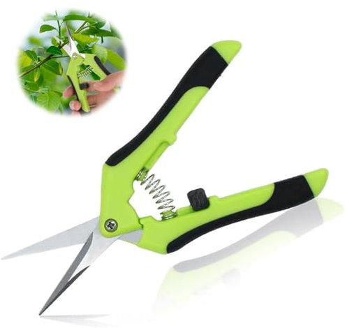 Secateur de Jardin, Sécateur de Jardin à Main, Ciseaux de Jardinage Inoxydable, Sécateur Jardin Ergonomiques, Ciseaux Bonsai, Professionnel Ciseaux de Jardinage, pour Plantes, Fleurs, Branches