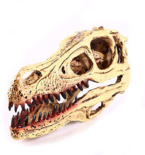 VOANZO Harts-Velociraptor döskalle modellreplika, dinosaurie tand skalle fossil, fotografi rekvisita undervisningsverktyg hem prydnad