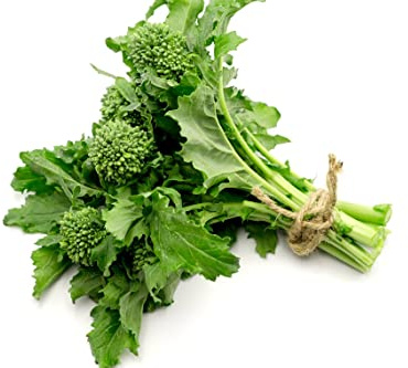 Broccoli Raab Spring Rapini Heirloom Premium Seeds for Planting Packet