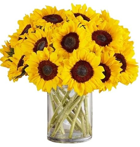 Ramo de Girasoles Naturales Flores Frescas con 10 Tallos en Diseño Moderno y Elegante