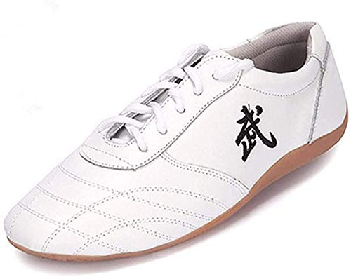 ZKHD Tai Chi Kung Fu Scarpe Taekwondo Scarpe Arte Marziale Cinese Tradizionale Wushu Shaolin Trainer Sneakers Traspiranti per Uomo Donna Bambini Bambini,White-44EU