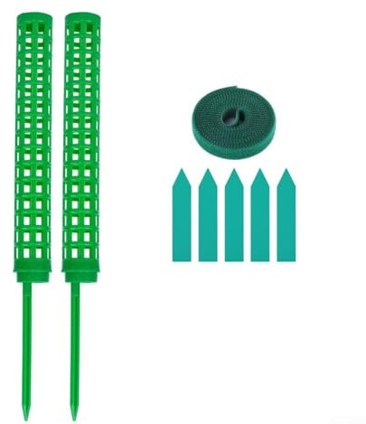 Bâtons d'escalade en mousse de 25 cm pour intérieur et pothos et philodendron (vert)