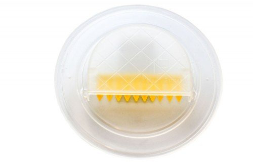 Germerott Bienentechnik 6 x Bienenflucht mit Klappen Preis pro Stück 3,20 Euro