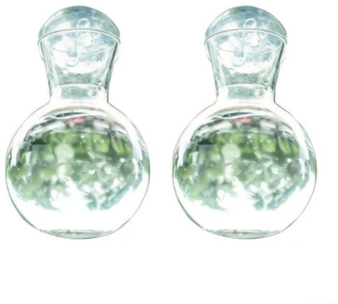 Lot de 2 vases à bulbes avec ventouses, crochets pour pot de fleurs en verre pour propagation de plantes, terrarium mural transparent