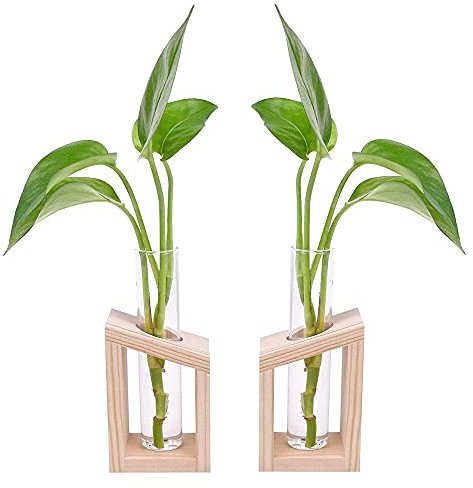 Vase en Tube à Essai - 2 Pièces en Verre Avec Cadre en Bois Pour Propagation Plantes Hydroponiques, Décoration Bureau et Domicile