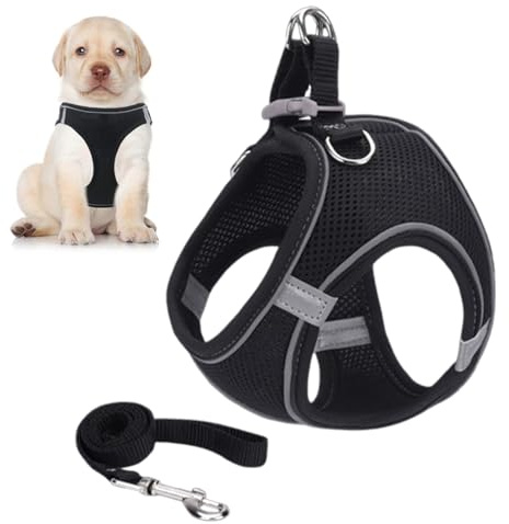 Galenecx Harnais Chien, Chien Anti-Traction Réfléchissant, Harnais pour Chiens avec Laisse, Sangle de Poitrine réglable, Respirant,Durable, pour Chat Chiot Road Trip promenades Quotidiennes