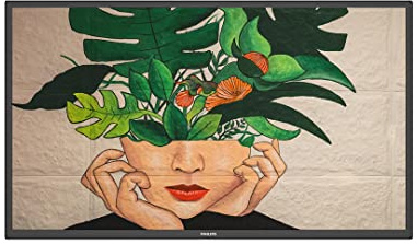 Philips D-Line 50BDL4511D/00