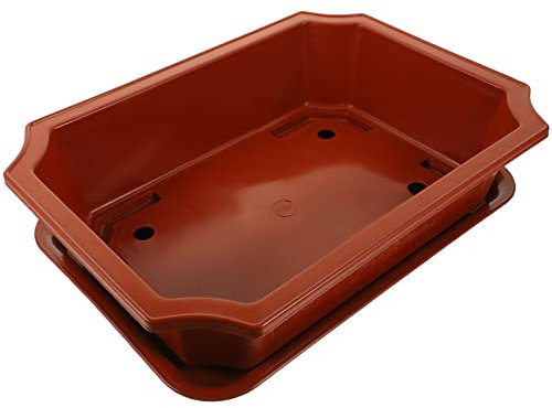 GANAZONO Di Fiori Vasi Da Addestramento Bonsai Vasi Da Fiori Rettangolari Vasi Per La Coltivazione Di Piante Piante In Crescita Fioriera Con Vassoio Di Drenaggio Giardinaggio