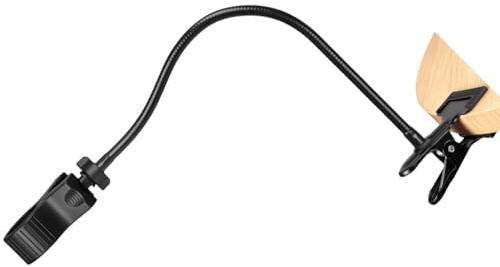 Gissroys Morsetto regolabile per microfono a collo di cigno per dispositivi di registrazione musicali e accessori di trasmissione live