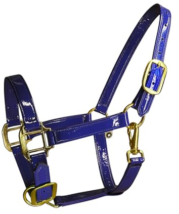 BCIOUS Caballo de cuero elegante de alta calidad con hebillas de aleación, impermeable y resistente al olor, para ecuestres, deportes, ecuestres, caballo, cabeza