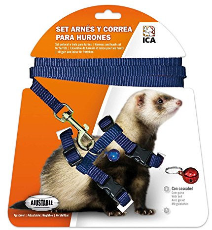 ICA DA972 Set mit Geschirr und Gurt für Frettchen, Blau
