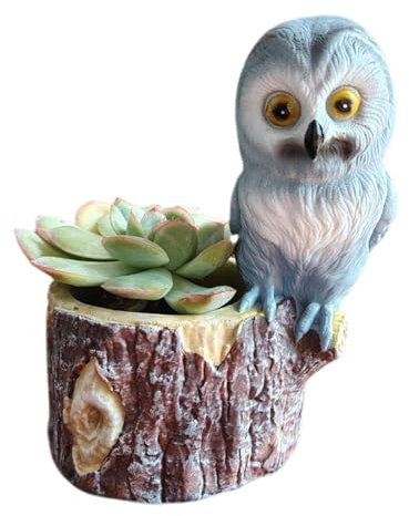 Nankoyal Owl Planter for Indoor Plants, Owl Flower Pot - Owl Succulent Plant Pot | Resin Owl Pots for Succulent Plant Pot Indoor High Break Resistance Home Decoration
