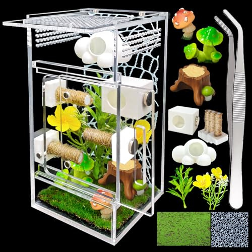 Jumping Spider Enclosure,DIY Insects Habitat,Small Reptile Terrarium Glass House Accessories Set,with Jumping Platform Hide Climbing Net(Green 2)