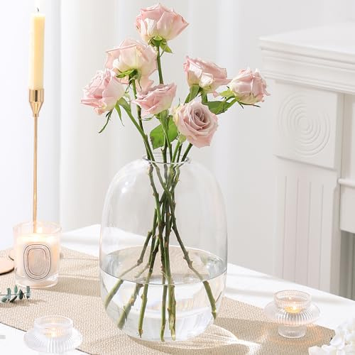 YANWE1 Large Glass Vase, 10 Inches Tall Glass Vases, Clear Glass Vase for Flower, Modern Round Vases for Living Room, Dining Table, Mantle, Shelf, Wedding, Office, Entryway