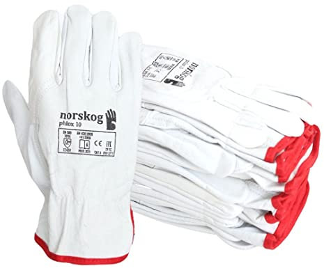 norskog PHLOX Arbeitshandschuhe Lederhandschuhe für Herren Schutzhandschuhe Gartenhandschuhe Montagehandschuhe Bauhandschuhe Lagerhaus Garten Baustelle LKW-Fahrer Heimwerker 6 Paare Gr. 10