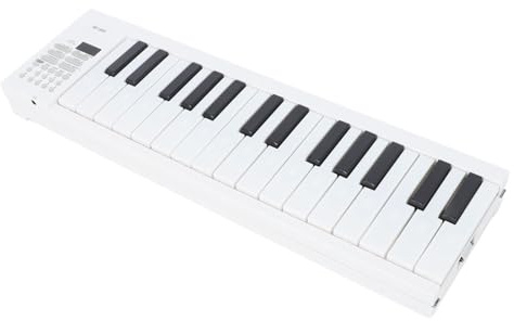 Bärbart Klaviaturpiano med 61 Tangenter, Hopfällbart Elektriskt Piano med Tangenter i Full Storlek, Inspelning, Uppspelning, Hopfällbart, Bärbart, för Nybörjare, LED-lampor