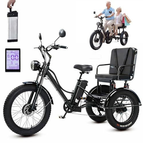 JSMDLN Triciclo Elettrico a Pedalata Assistita da 24, con Sedile Multifunzionale, Carico Massimo: 150 kg, Display LCD + Faro, Acciaio Ad Alto Tenore di Carbonio, per Città E Strade di Montagna Black
