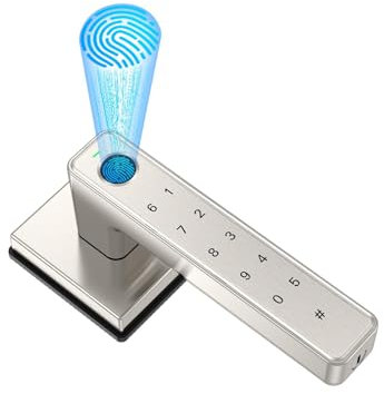 Fingerprint Door Lock,Biometric Handle Locks with Mechanical Key*2,Digital Touch Keyless Entry for Home, Bedroom,Hotel,Office,Silver