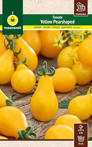 Mascarell Semillas, TOMATE YELLOW PEARSHAPED, Semillas Huerto, Tomate Cherry Pera Amarillo y Dulce, Crea tu Propio Huerto Urbano y Cultivo en Casa, 0.5 GR