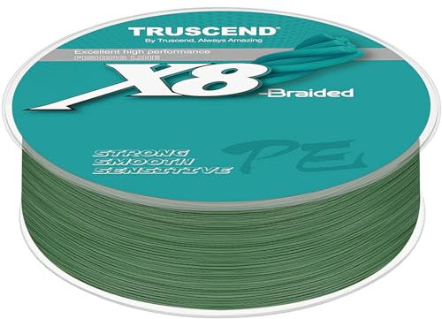 TRUSCEND Geflochtene Angelschnur 8fach, Angelzubehör Angelschnur geflochten glatt und ultradünn, PE Braided Fishing Lines, Angelsehne, Angel Schnur - 10lb/300yds