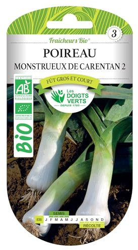 Graines de poireau monstrueux de Carentan 2 BIO Les Doigts Verts