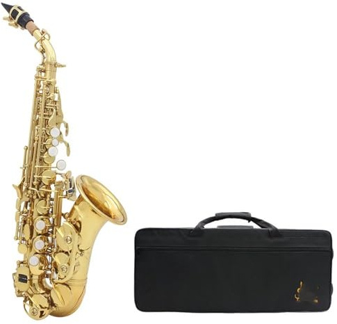 Professionell Saxofon Mässingskropp Altsaxofon Bb Graverade Tangentbord med Reed Glove Bakre Friktionsskydd(Gold)