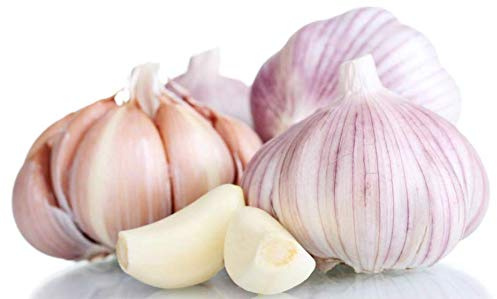 Kejora Premium Fresh Garlic Bulb 4 Count (Softneck Variety)
